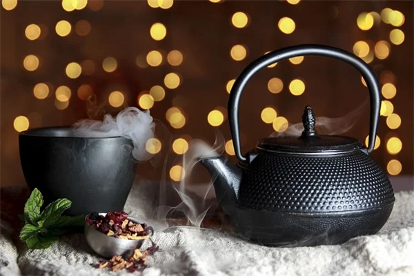 Clay Pots vs Plastic Pots: How to Choose the Right One